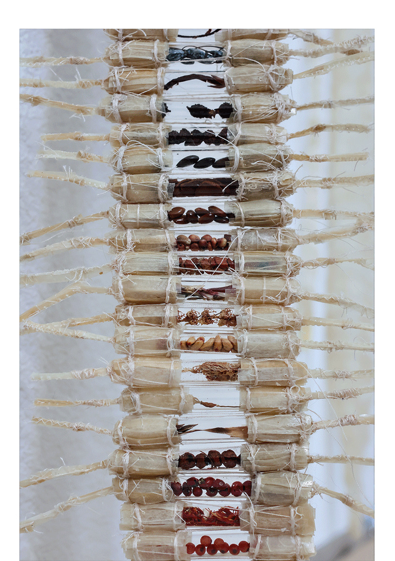 Laura De Bernardi | Sans titre (détail) | Papier à cigarette, fil blanc, graines, verre | 2025
