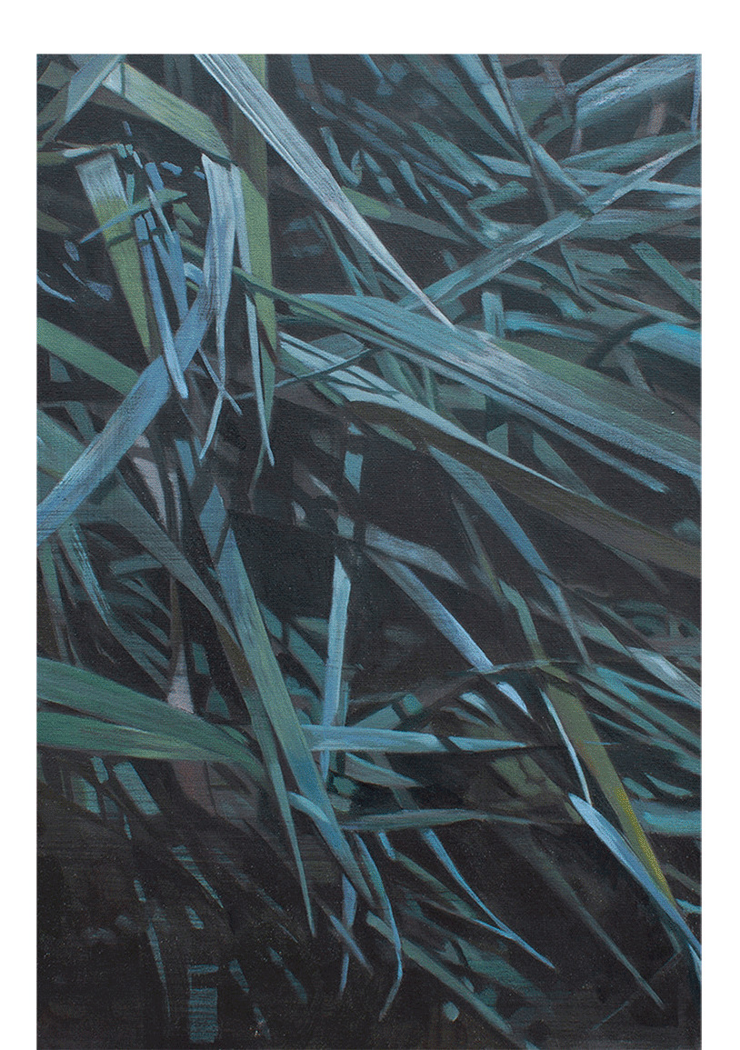 Gergana Mantscheva | Gräser (détail) | Hile et acrylique sur toile | 2018